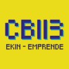 Ekin CB113 -ekin